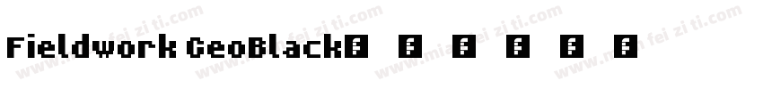 Fieldwork GeoBlack字体转换